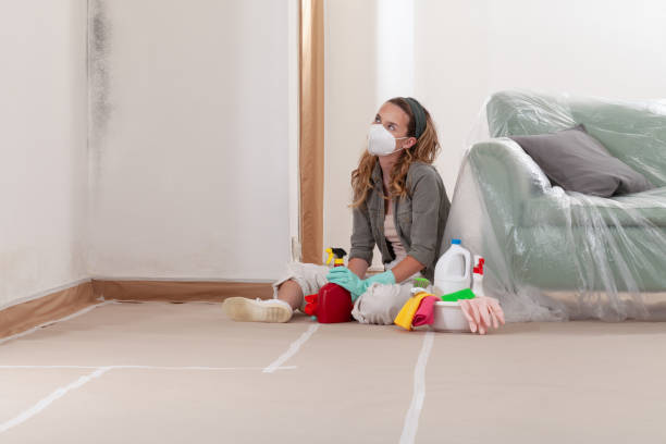 Reliable Mold Remediation contractor in Auburn, KY by 24 Hour Mold Removal