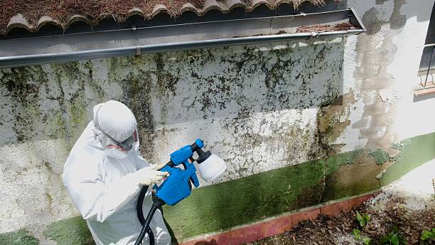Top rated local Mold Remediation specialists in Auburn, KY